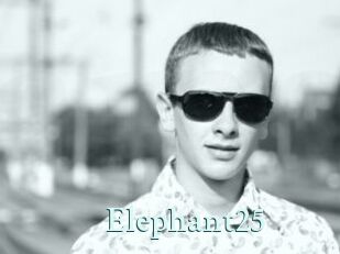 Elephant25