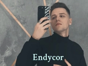 Endycor