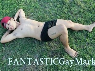 FANTASTICGayMark