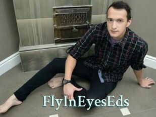 FlyInEyesEds