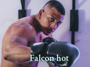 Falcon_hot