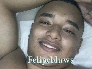 Felipebluws