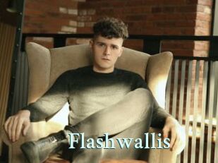 Flashwallis