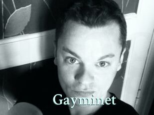 Gayminet