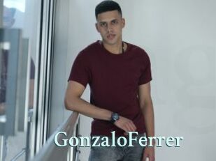 GonzaloFerrer