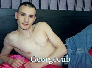 Georgecub