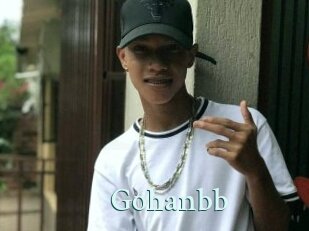 Gohanbb