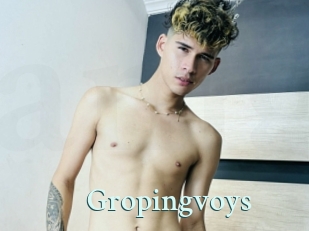 Gropingvoys