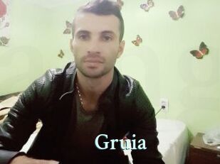 Gruia