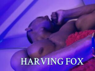 HARVING_FOX