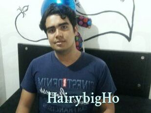 HairybigHo