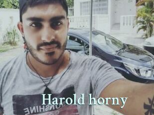 Harold_horny