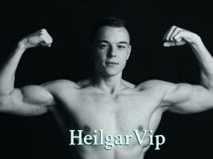 HeilgarVip