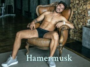 Hamermusk