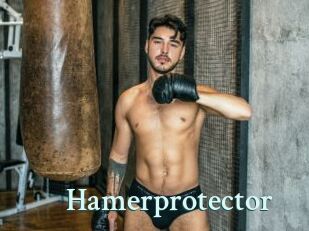 Hamerprotector