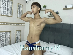 Hanshorny18