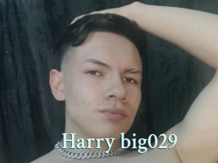 Harry_big029