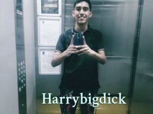 Harrybigdick