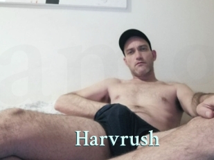 Harvrush