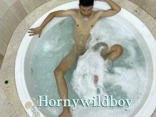 Hornywildboy