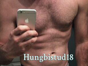 Hungbistud18