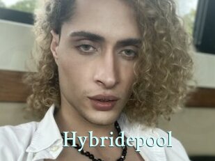 Hybridepool