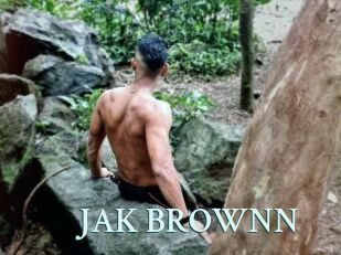 JAK_BROWNN