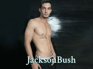 JacksonBush