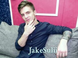 JakeSulii