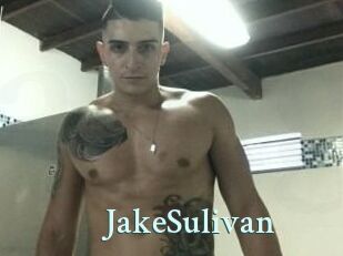 Jake_Sulivan