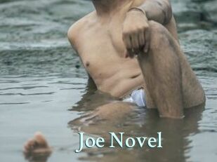 Joe_Novel