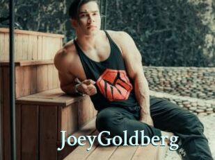 JoeyGoldberg