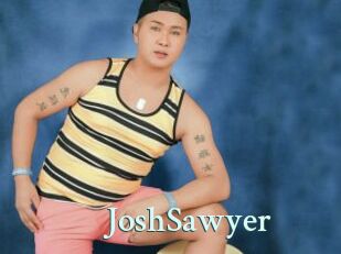 JoshSawyer