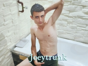 Joeytrunk