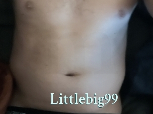 Littlebig99