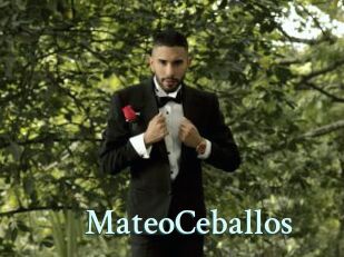 MateoCeballos