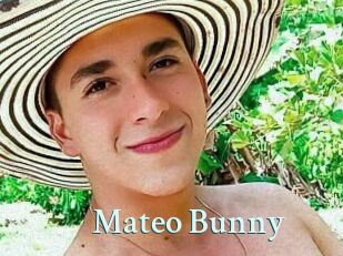 Mateo_Bunny