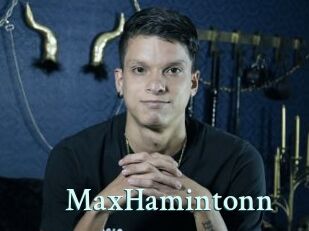 MaxHamintonn