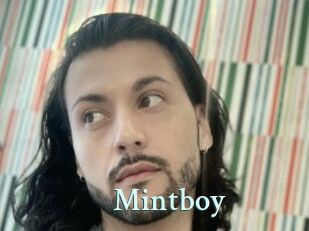 Mintboy