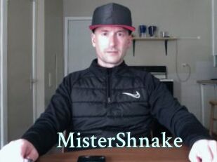 MisterShnake