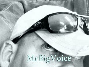 MrBigVoice