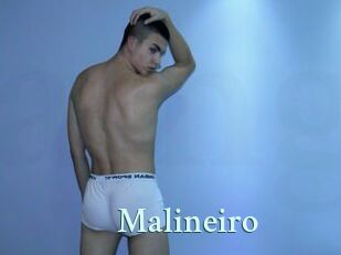 Malineiro