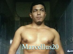 Marcellus20