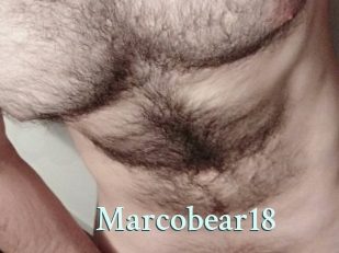 Marcobear18