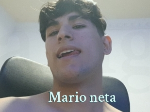 Mario_neta