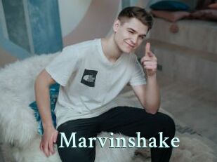 Marvinshake