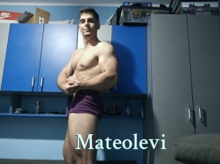 Mateolevi