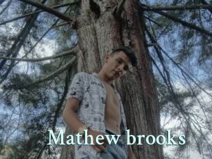 Mathew_brooks