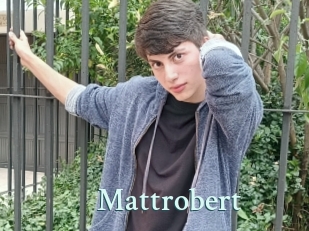 Mattrobert