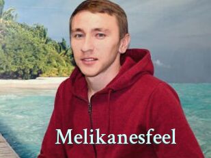 Melikanesfeel